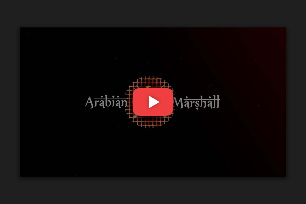 Logo Animation